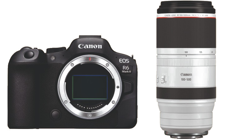 Canon EOS R6 Mark II with RF 100-500mm for rent